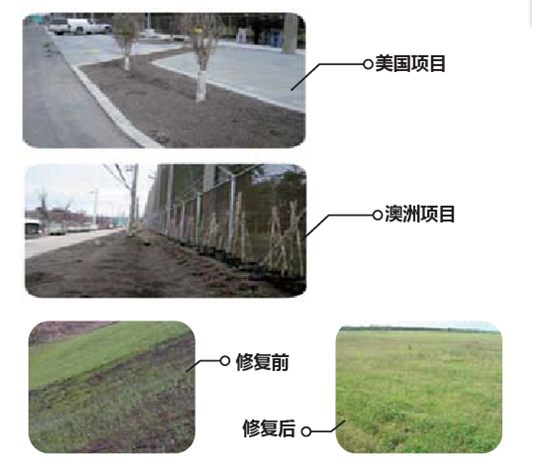 活性過濾調理劑-