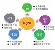 iqpr水體修復(fù)技術(shù)-