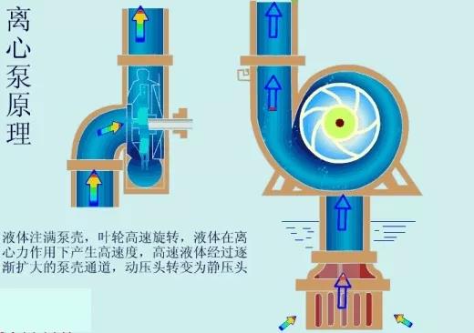 看圖秒懂 17種泵的工作原理及性能特點展示圖-