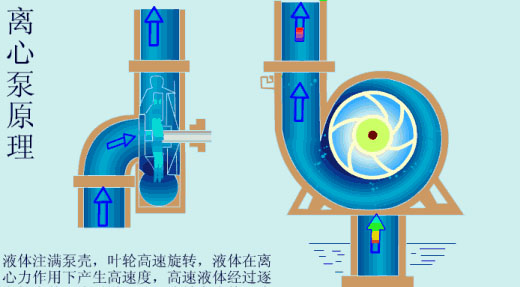 給（gei）水泵、給（ji）水泵別再傻傻分不清楚（內(nèi)含動(dòng)畫）