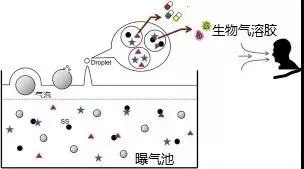 污水廠內(nèi)的生物氣溶膠怎么產(chǎn)生，污水從業(yè)人員如何做好防護(hù)？-