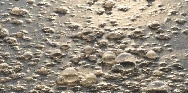 污水廠內(nèi)的生物氣溶膠怎么產(chǎn)生，污水從業(yè)人員如何做好防護(hù)？-